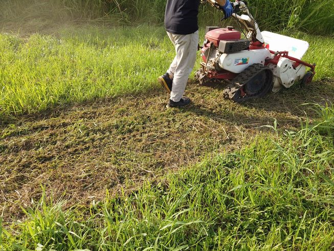 草刈機 HRC662B 写真７